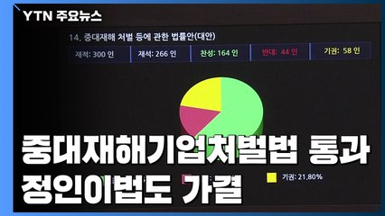 중대재해법 찬성 164표 본회의 통과...'정인이법' 가결 / YTN
