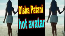 Disha Patani shares a hot picture