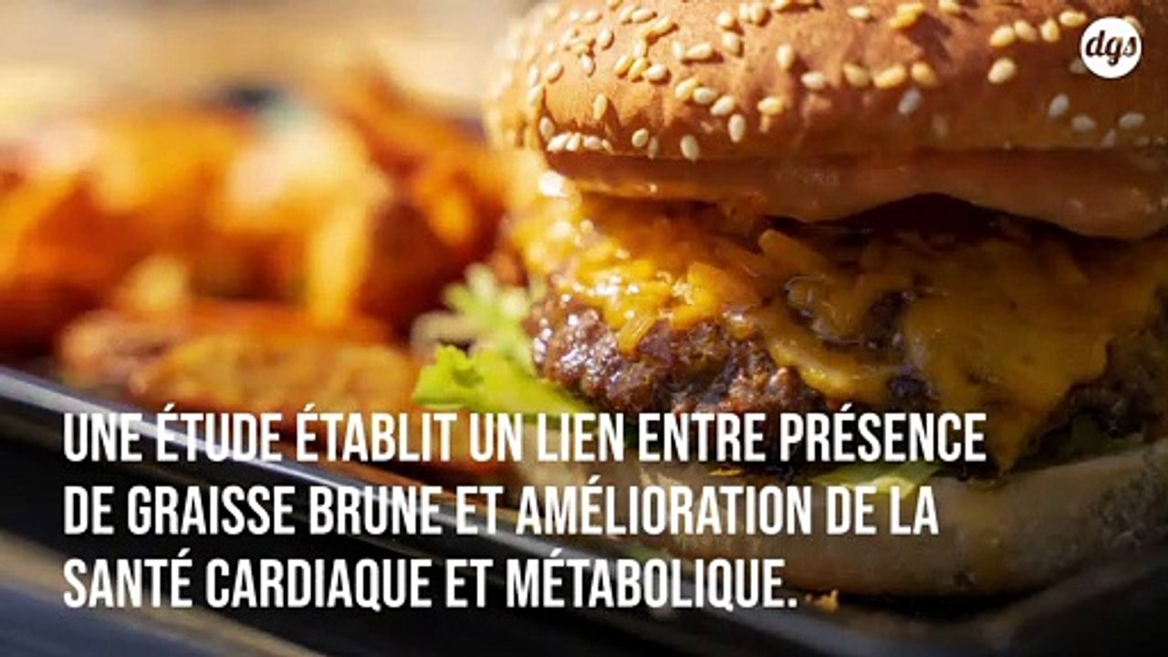 Une étude sans précédent met en évidence les nombreux bénéfices de la graisse brune sur la santé