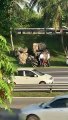 Cop caught on camera assaulting motorcyclist in PJ