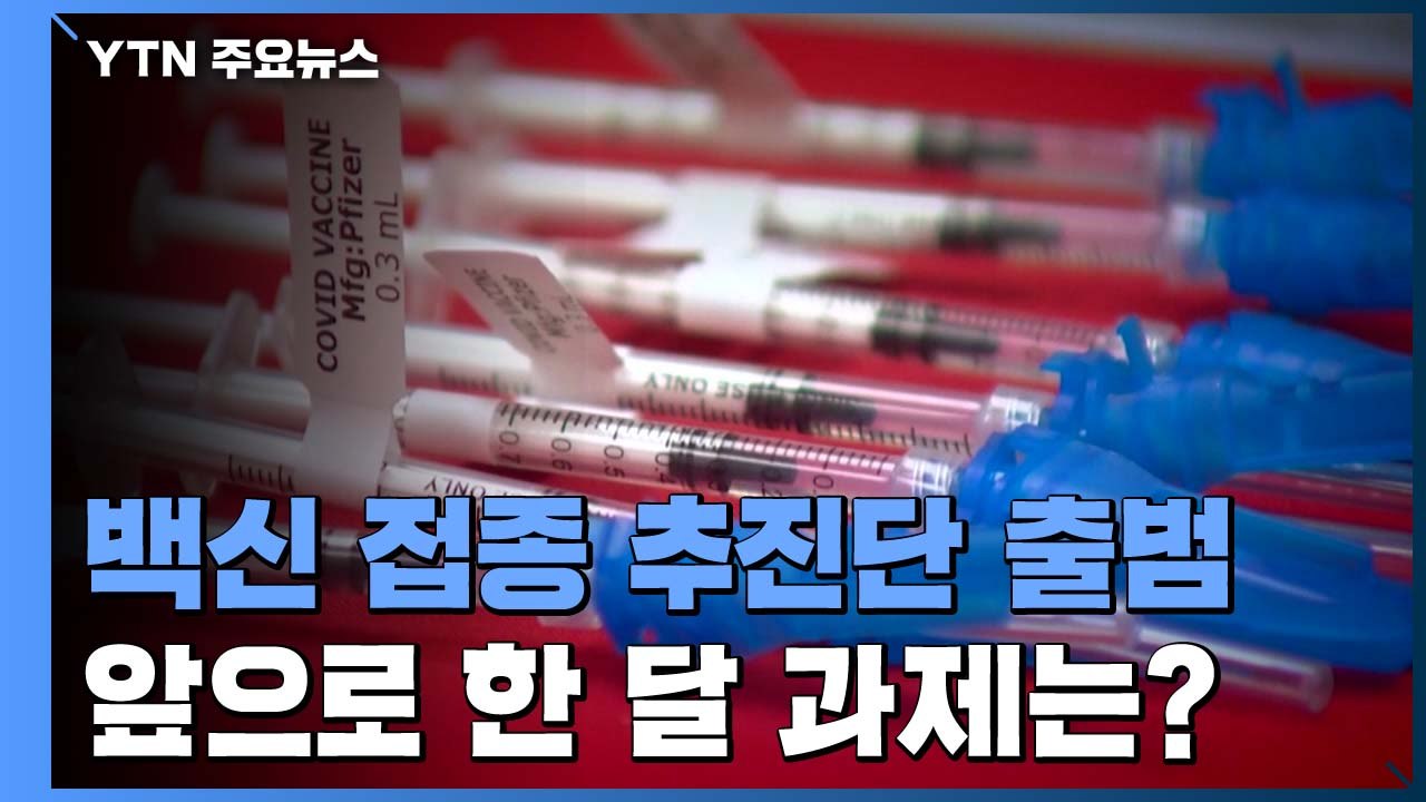 백신 접종 추진단 출범...앞으로 한 달 과제는? / YTN