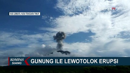 Gunung Ile Lewotolok Erupsi, Kolom Abu Capai 1.000 Meter