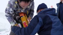 - Çinli bilim adamları, erimesini yavaşlatmak için buzulu örtü ile kapladı- Kaplanan alanın daha az eridiği gözlemlendi