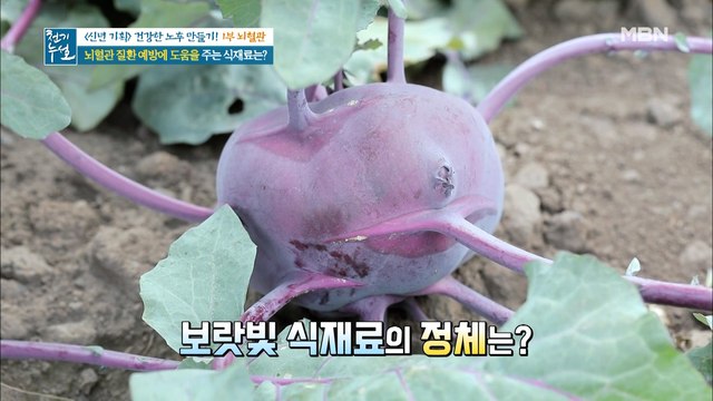 뇌혈관 건강에 도움 되는 보랏빛 채소의 정체는?!