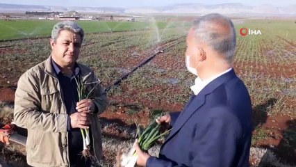 - Arabanlı çiftçilerin kuraklık endişesi