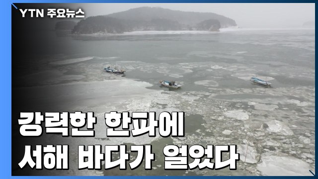 최강 한파에 바다도 '꽁꽁'...난방비 부담에 꽃 출하 포기 / YTN