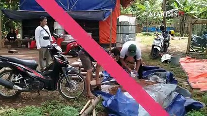 Download Video: Bertahan di Tengah Pandemi dengan Budidaya Jamur Tiram