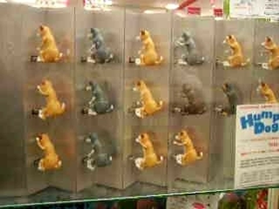 humping dogs tokyo japon