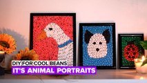 Cool Beans: Cute animal portraits