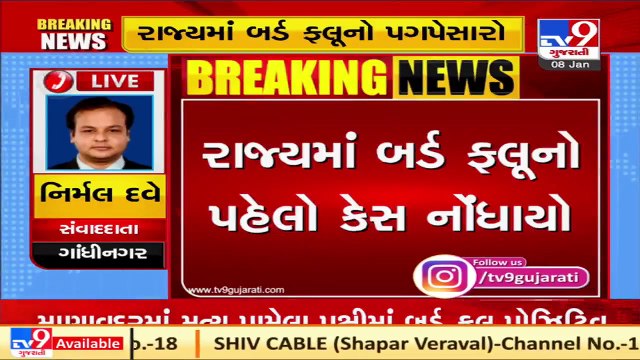 ગુજરાત રાજ્યમાં બર્ડ ફ્લૂનો પહેલો કેસ નોંધાયો |Tv9news H02