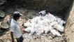 Fear of bird flu grips India amid coronavirus pandemic