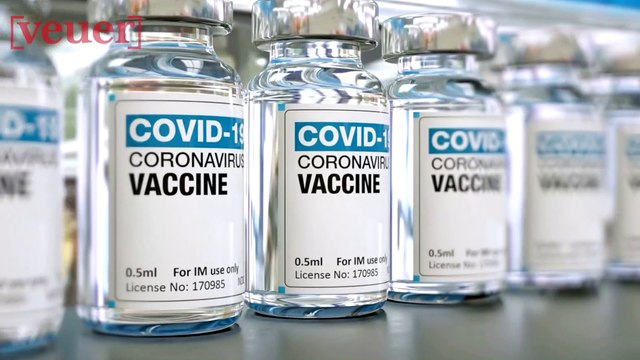 Domestic US Travel Insight for Current COVID Restrictions