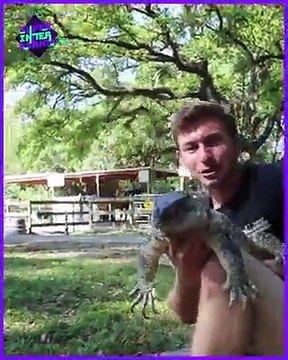 Cosas interesantes que no sabias