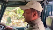 Jungle Safari : Rajaji National Park | राजाजी नेशनल पार्क  2021 [ Safari into the Deep Jungle ]