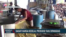 Siasati Kedelai Mahal, Produksi Tahu Tempe Dipangkas