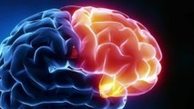 Brain Stroke causes symptoms  treatment and awareness  in Telugu