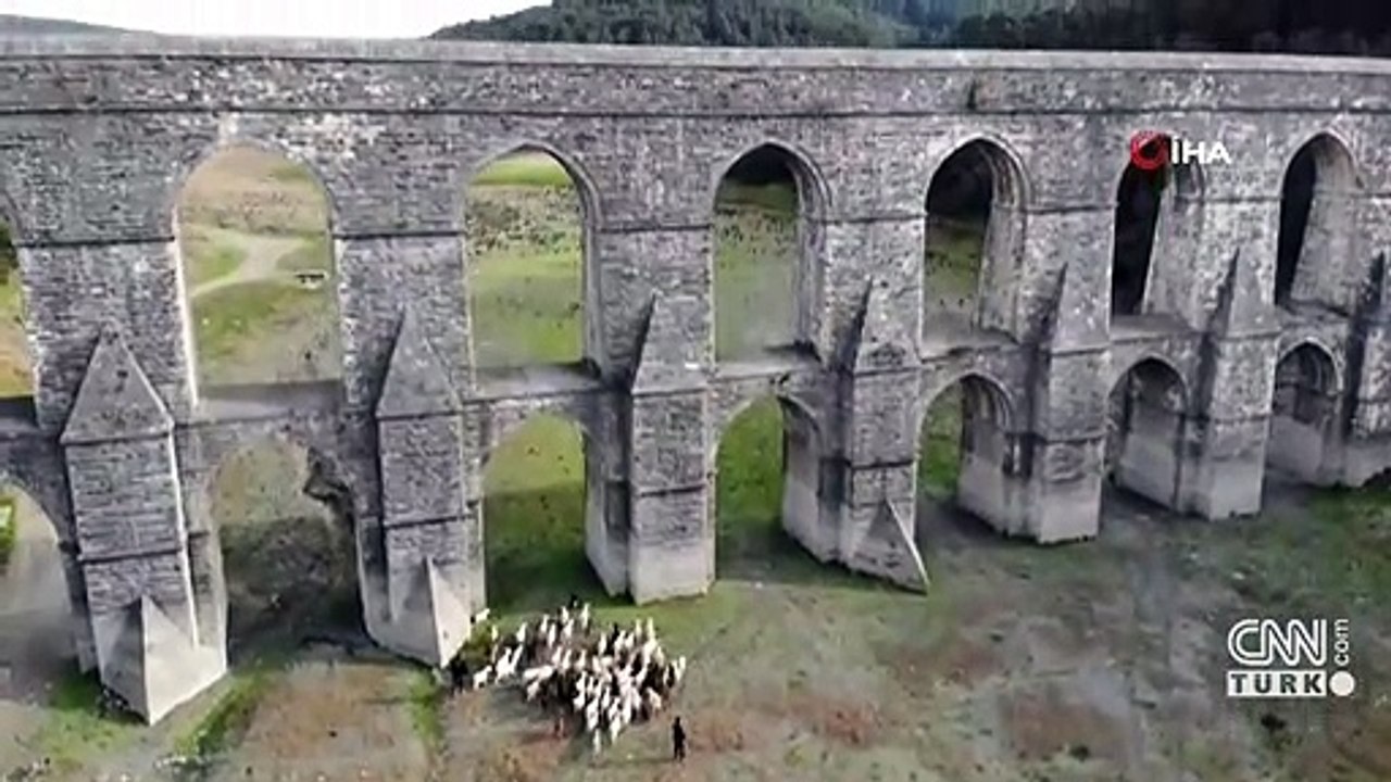 Alibeyköy Barajı'nda artık koyunlar otluyor | Video