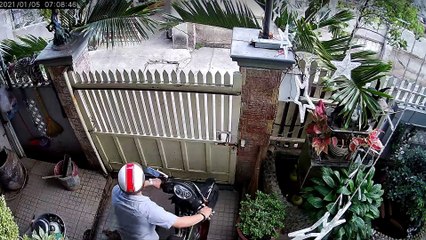 Dog Escapes as Man Tries to Move Moped Through Gate