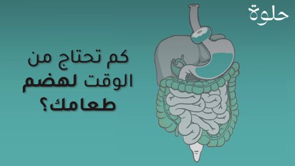 كم تستغرق من الوقت لهضم طعامك؟