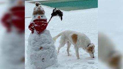 Malú enseña su jardín nevado adornado con un muñeco de nieve