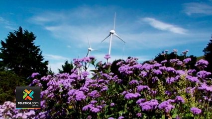 tn7-montañas-e-salitral-se-tiñeron-de-morado-080121