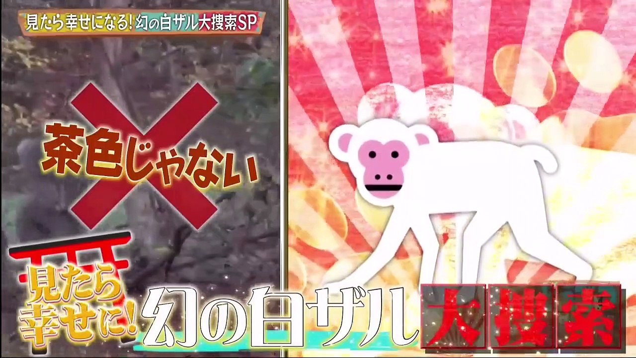 どうぶつピース！！ 2021年1月7日　新春おめでたペット！見たら福がある幻の白ザルを探せ！-(edit 1/2)