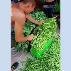 Cosas sumamente sorprendentes