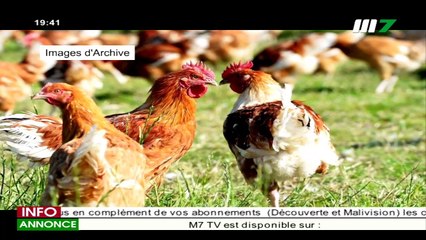 JT BAMBARA 19H30 DU 08 JANVIER 2021