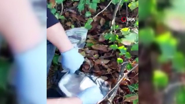 Zehir tacirlerinin ormana sakladığı uyuşturucuları polis böyle buldu