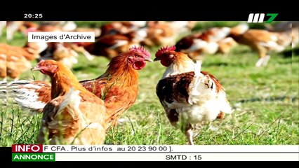 JT FRANÇAIS 20H15 DU 08 JANVIER 2020