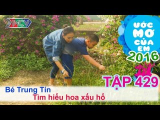 Miko Lan Trinh tìm hiểu hoa mắc cỡ - bé Trung Tín | ƯỚC MƠ CỦA EM | Tập 429 | 02/05/2016
