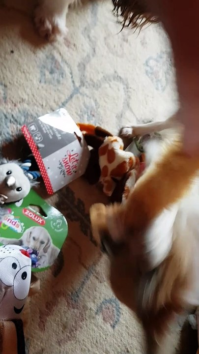 Jeux de Noël petit renard