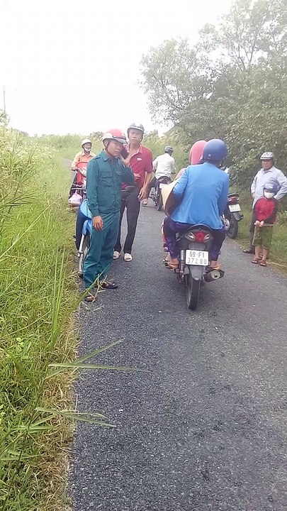 Snake Causes Scene on Street - video Dailymotion