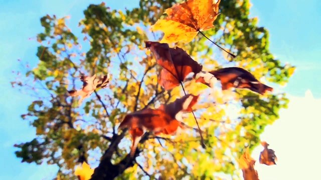 Arlow & Shiah Maisel / No Copyright Songs / No Text / No Credit Required / Only Music + Video Background