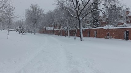 Tải video: Los efectos de 'Filomena' dejan Tres Cantos cubierto de nieve