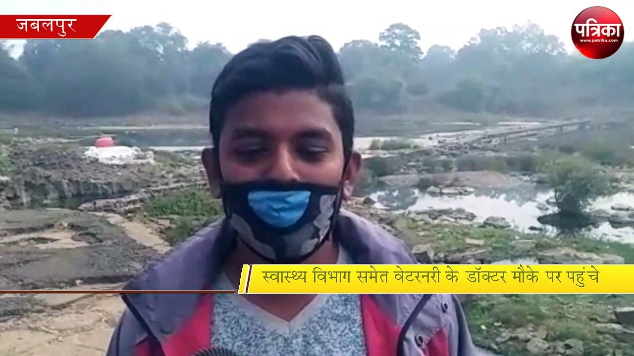 जबलपुर बर्ड फ्लू की आशंका