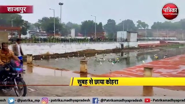 VIDEO: रात में बरसा 5 मि.मी. मावठा, सुबह से छाया कोहरा