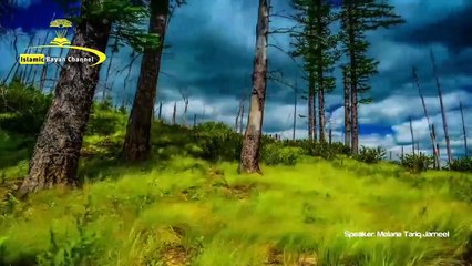 Hazrat Ali R.A Ki Bahaduri Ka Waqia  By Molana Tariq Jameel | Jang e Khandaq