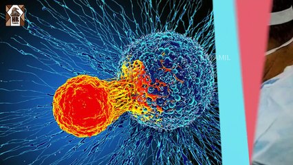 கொரோனா தடுப்பூசியால் ஆபத்தா_?  வெளிவரும் அதிர்ச்சி தகவல்கள்