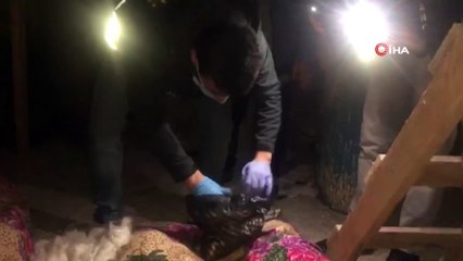 İstanbul’da dev uyuşturucu operasyonu: 55 kilogram kubar ele geçirildi