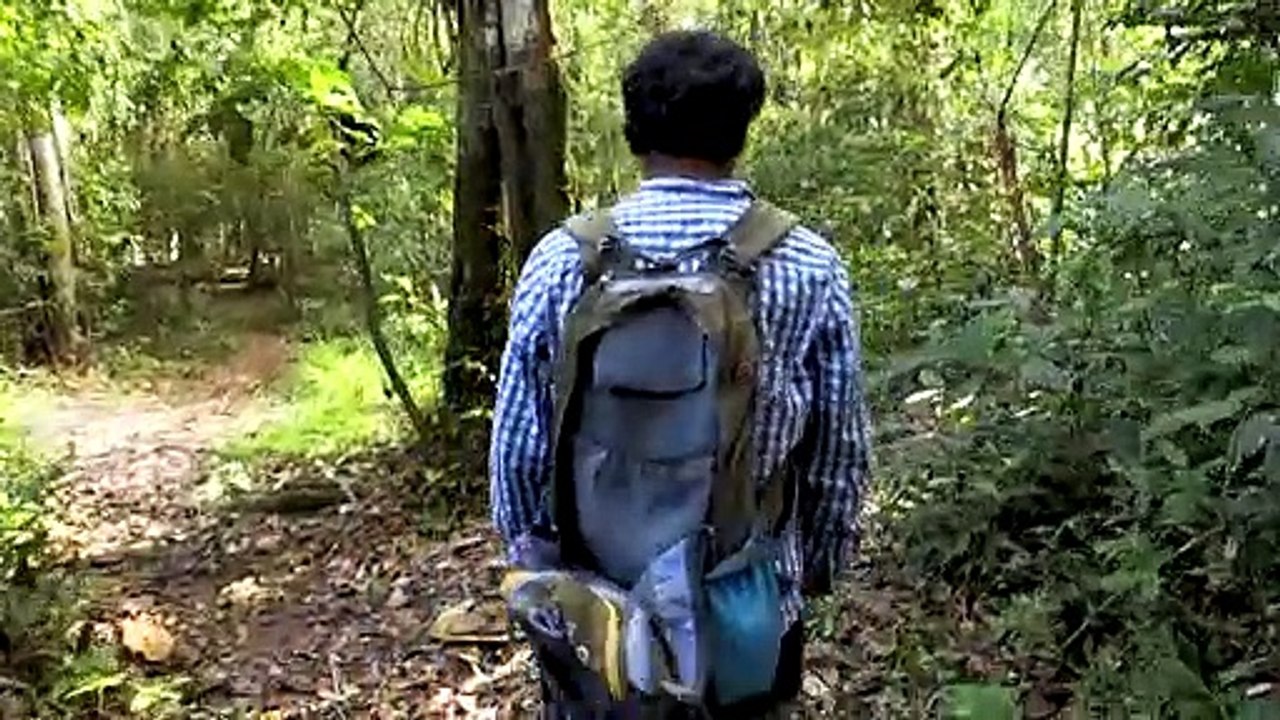 Ein Zuhause für die Affenwaisen des Amazonas