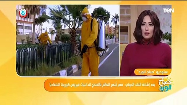 خبير اقتصادي يوضح لماذا صمد الإقتصاد المصري في وجه كورونا في حين إنهيار الإقتصاد البرازيل