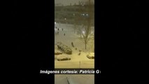 Perros tirando de trineos en pleno Madrid para moverse por la nieve