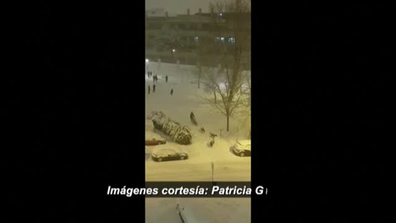Perros tirando de trineos en pleno Madrid para moverse por la nieve