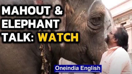 Man & elephant talk like buddies: Video goes viral | Oneindia News