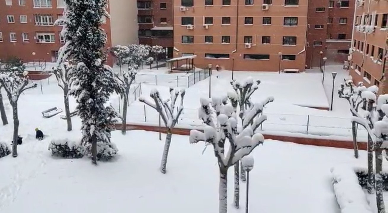 Fuertes nevadas en Alcalá de Henares por la borrasca 'Filomena'