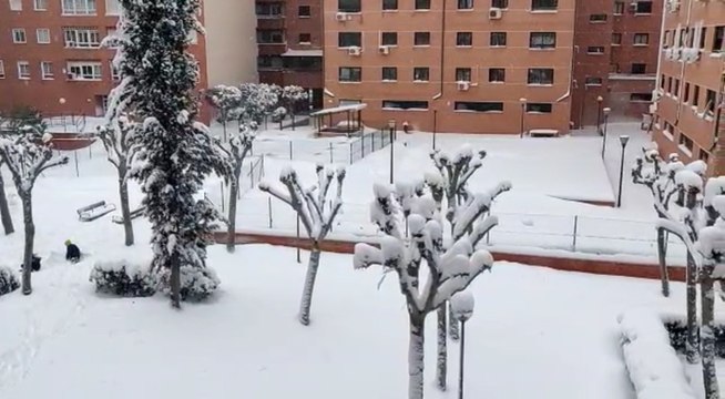 Fuertes nevadas en Alcalá de Henares por la borrasca 'Filomena'