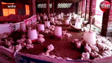 आठ रैपिड रिस्पांस टीम पक्षियों पर रखेगी नजर