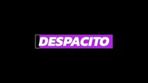 luis fonsi despacito with lyrics | despacito song lyrics | ft.daddy yankee | ALIG brothers