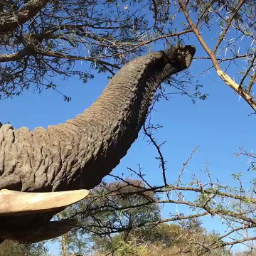 NUOVO !!! Video Clip Africa Lodovica Mairè Rogati